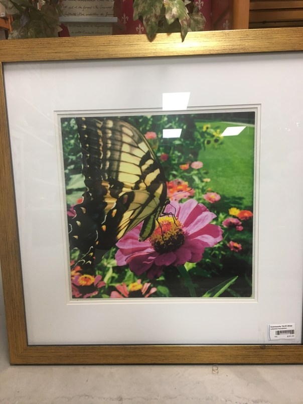 8C485C70-81C3-4AE2-AA25-368C13F8ACC8