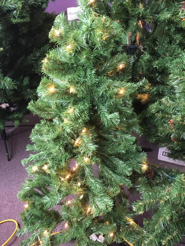 CB4C2E06-3CDA-4B48-89D6-E74BE3891895